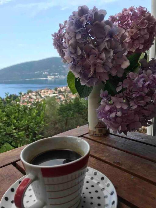 Magnificent Views Apartment Herceg Novi Extérieur photo